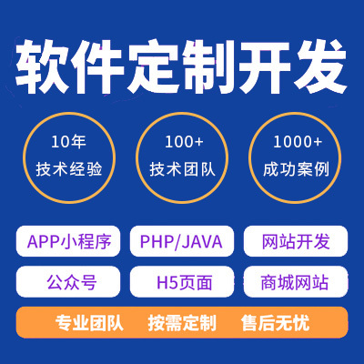 武漢2加1模式軟件開發