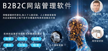 b2b2c商城建設價格 b2b2c商城建設型號規格